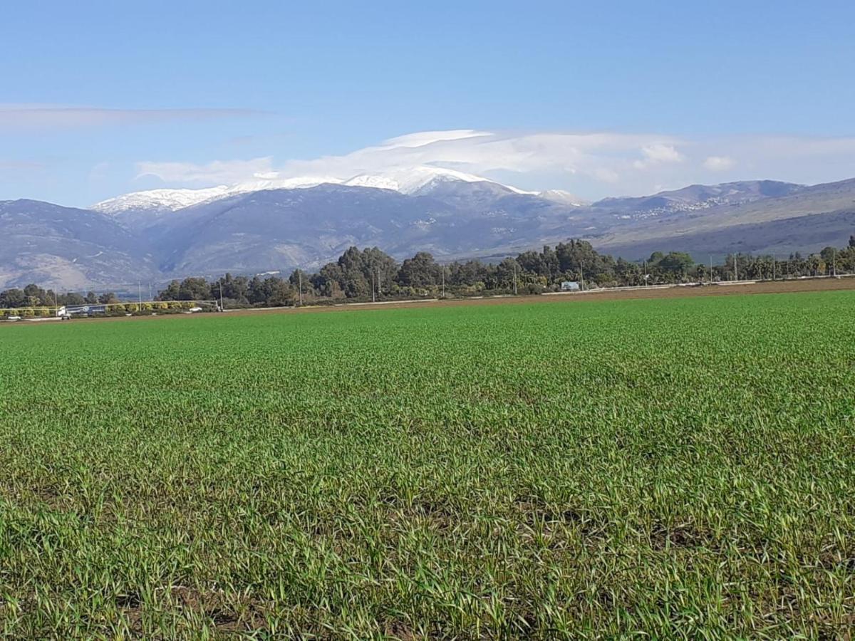 וילה א-לה נוף Metula Exterior photo